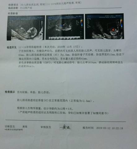 journal_insert_pic_1216786143