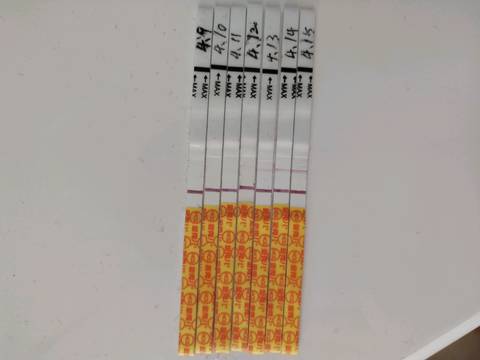 journal_insert_pic_1217037538