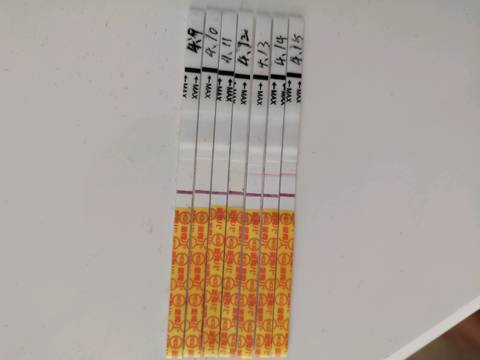 journal_insert_pic_1217037530