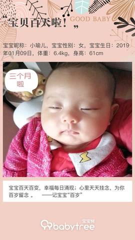 journal_insert_pic_1217122807