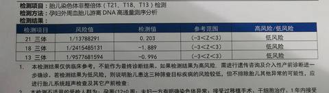 journal_insert_pic_1217323138