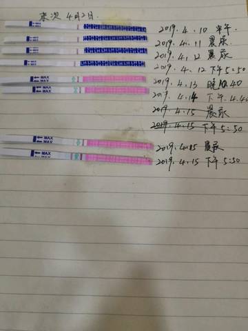 journal_insert_pic_1217221528