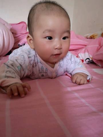 journal_insert_pic_1217472427