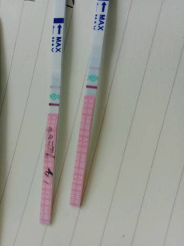 journal_insert_pic_1217835922