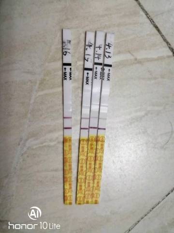journal_insert_pic_1218454428