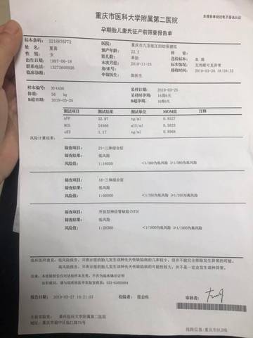 journal_insert_pic_1218216967