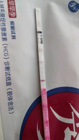 journal_insert_pic_1218174357
