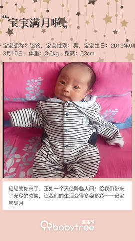 journal_insert_pic_1218116642