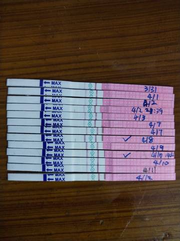 journal_insert_pic_1218801692