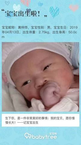 journal_insert_pic_1219261841