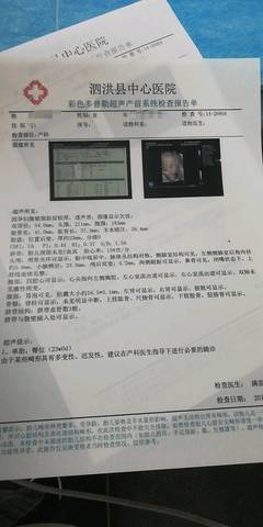 journal_insert_pic_1219146125