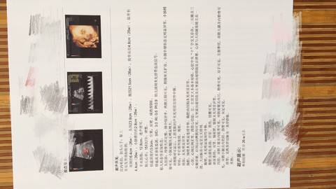 journal_insert_pic_1220089731