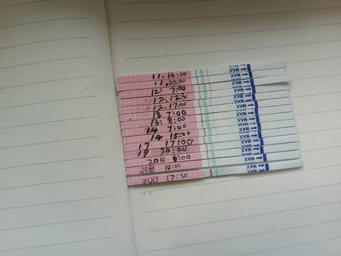 journal_insert_pic_1220263384