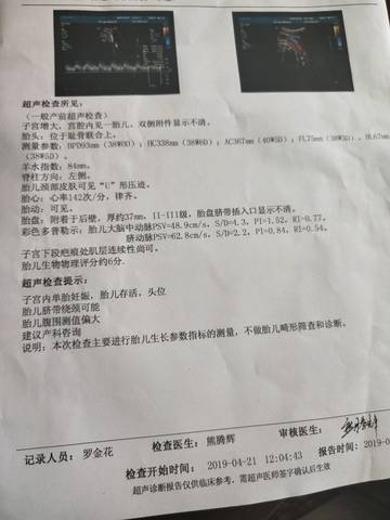 journal_insert_pic_1220770925