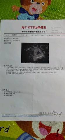 journal_insert_pic_1220885455