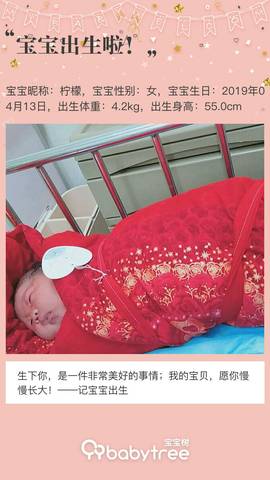 journal_insert_pic_1221551456