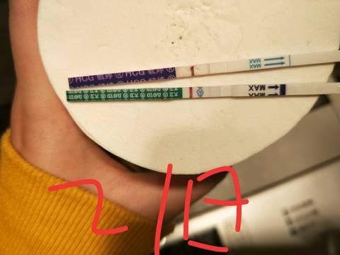 journal_insert_pic_1221581254