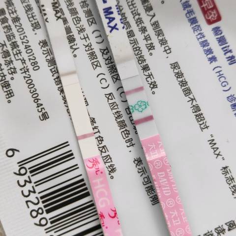journal_insert_pic_1221646424