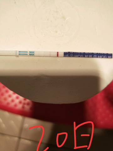 journal_insert_pic_1221581250