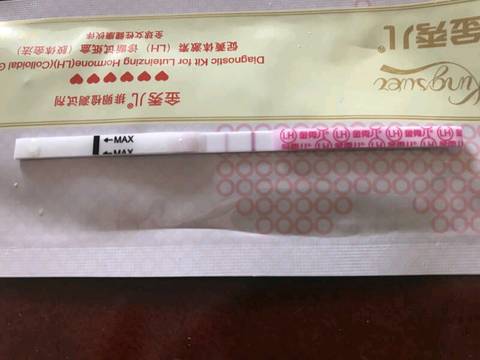 journal_insert_pic_1222108739