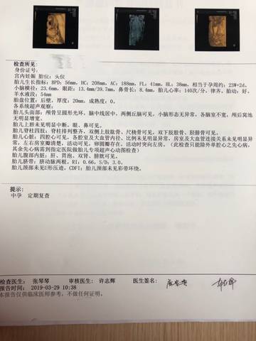 journal_insert_pic_1222581140