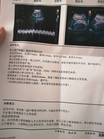 journal_insert_pic_1222533109