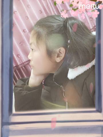 journal_insert_pic_1222482629