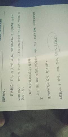 journal_insert_pic_1223308571