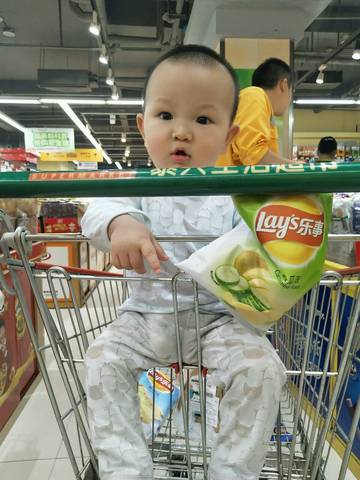 journal_insert_pic_1223153993