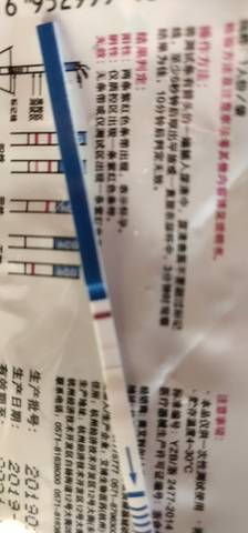 journal_insert_pic_1223886635
