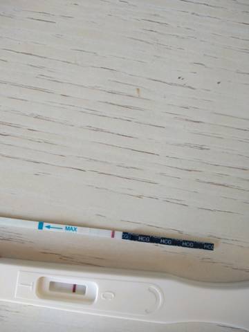 journal_insert_pic_1223724330
