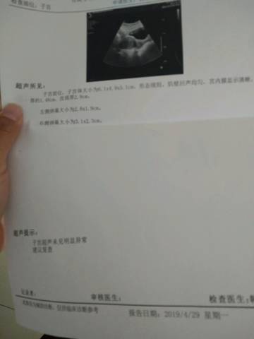 journal_insert_pic_1225946188