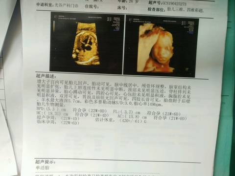 journal_insert_pic_1226332811