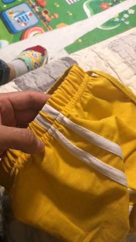 journal_insert_pic_1227177382