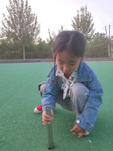 journal_insert_pic_1227098573