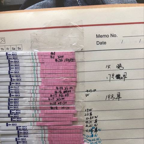 journal_insert_pic_1226965595