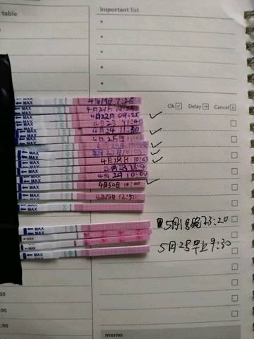 journal_insert_pic_1228089385