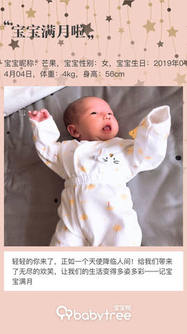journal_insert_pic_1228339130