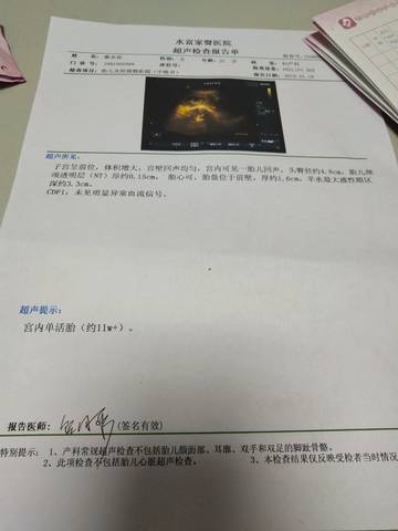 journal_insert_pic_1228181821