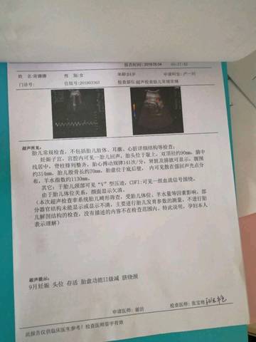 journal_insert_pic_1228686218
