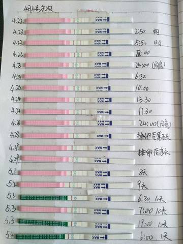 journal_insert_pic_1228846059