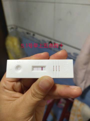 journal_insert_pic_1228830906