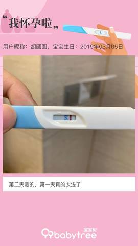 journal_insert_pic_1229695257