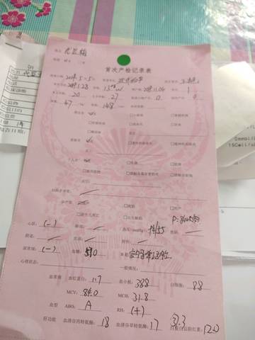 journal_insert_pic_1229980002