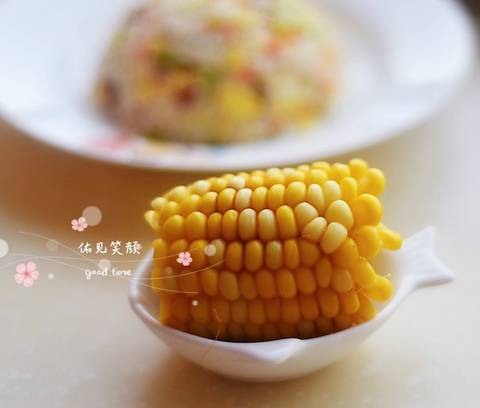 journal_insert_pic_1229497545