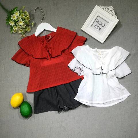 journal_insert_pic_1229734341