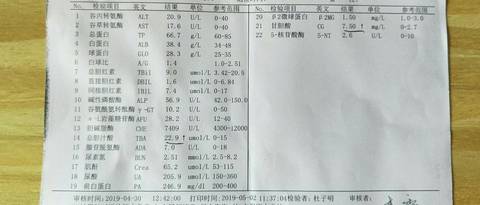 journal_insert_pic_1230484748