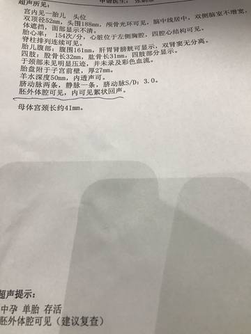 journal_insert_pic_1230639767