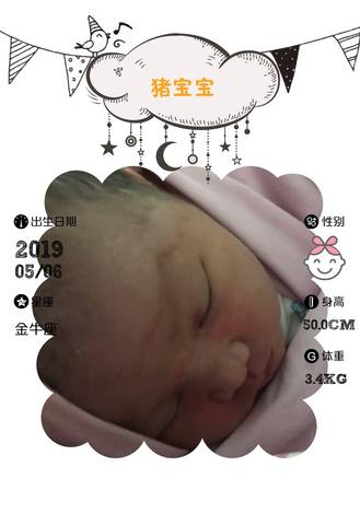 journal_insert_pic_1230492379