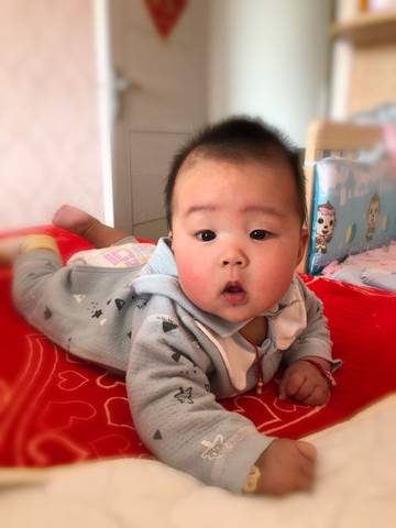 journal_insert_pic_1230756851